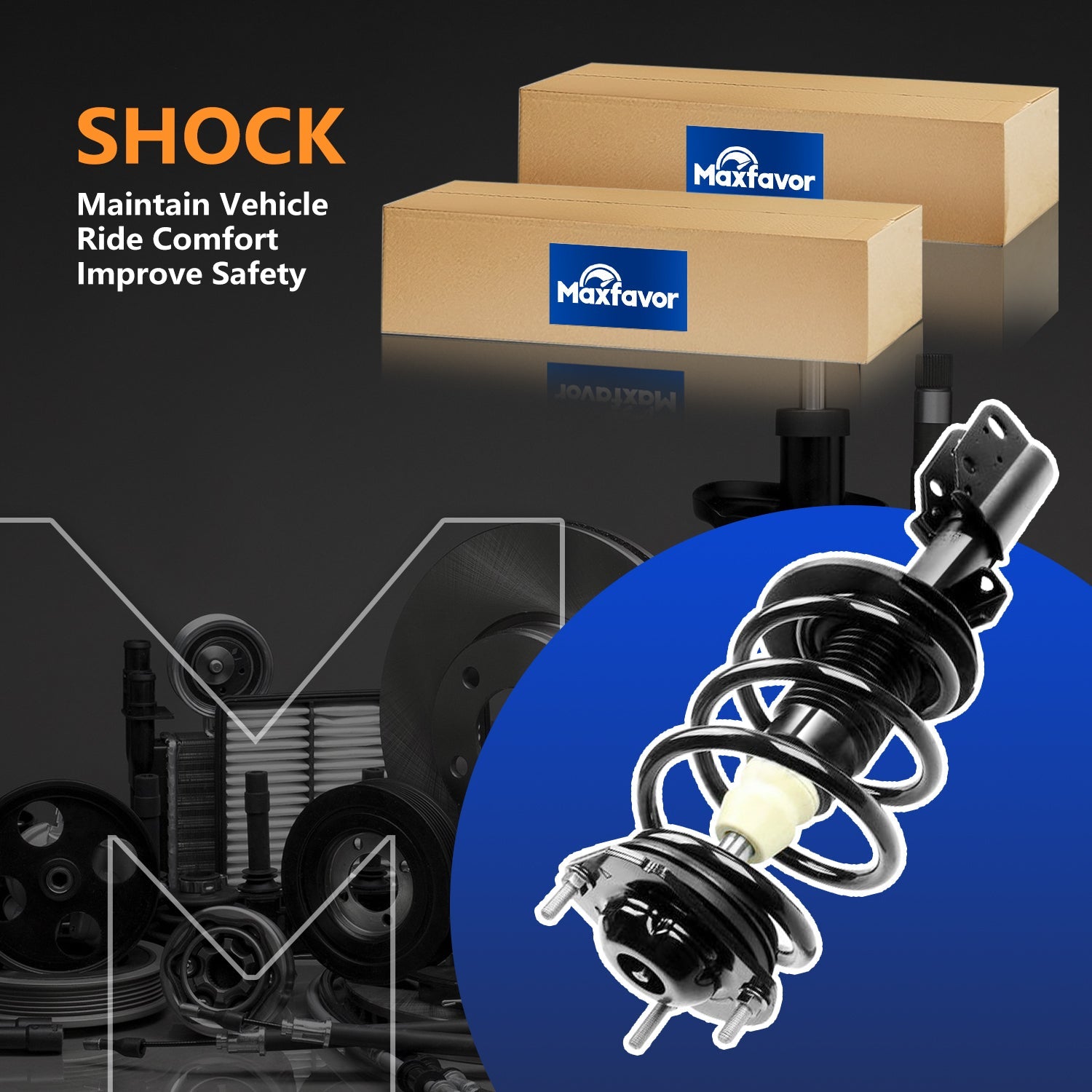 Shock Struts Absorbers