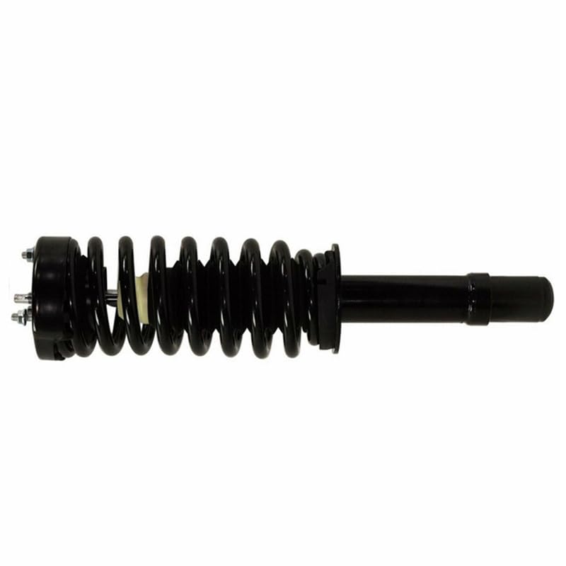 Maxfavor Front Complete Struts Shock Fit for 2005-2010 Chrysler 300, Dodge 2005-2008 Magnum 2008-2010 Charger Set of 2 Replacement 172254L 172254R Suspension Shock Absorber