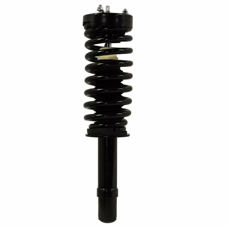 Maxfavor Front Complete Struts Shock Fit for 2005-2010 Chrysler 300, Dodge 2005-2008 Magnum 2008-2010 Charger Set of 2 Replacement 172254L 172254R Suspension Shock Absorber