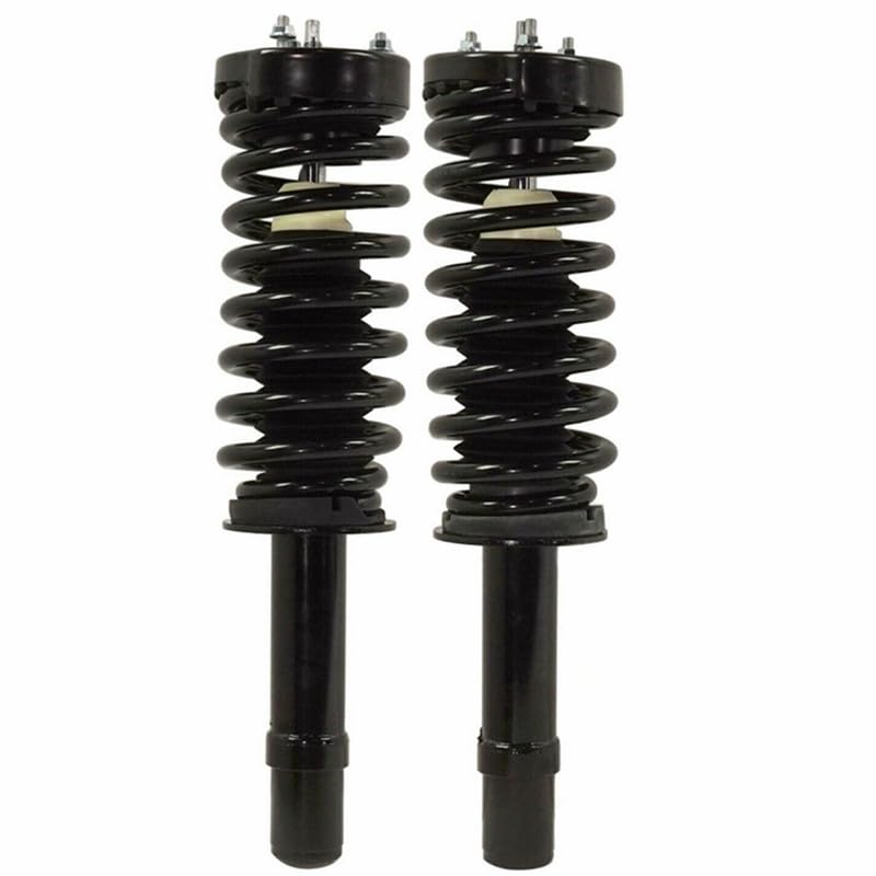 Maxfavor Front Complete Struts Shock Fit for 2005-2010 Chrysler 300, Dodge 2005-2008 Magnum 2008-2010 Charger Set of 2 Replacement 172254L 172254R Suspension Shock Absorber