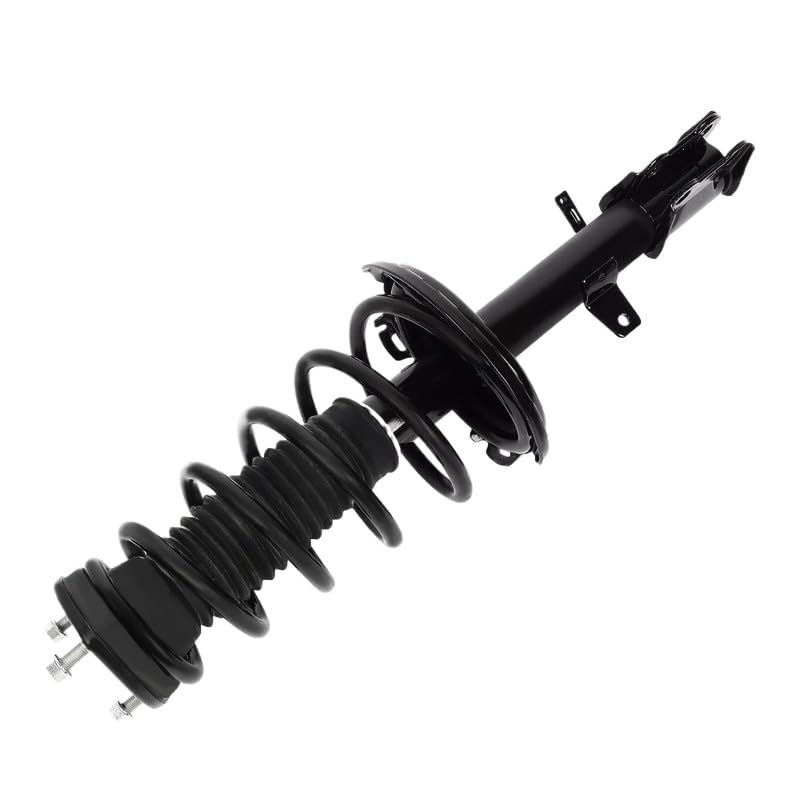 Maxfavor Rear Pair Struts Shock Absorber Compatible with Toyota 2010-2011 Highlander 2013-2015 Venza Suspension Shock Absorber Replacement 172490 172489