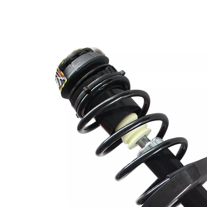 Maxfavor Front Pair Struts Shock Absorber Compatible with Saturn 2000 LS2 LW2 2001-2003 LW300 L300 Suspension Shock Absorber Replacement 271556 271555