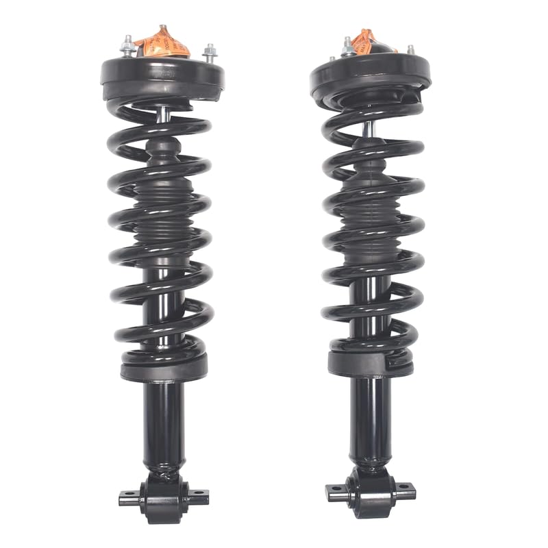 Maxfavor Front Pair Struts Shock Absorber Compatible with 2015 2016 2017 2018 2019 2020 Ford F-150 Suspension Shock Absorber Replacement 273031L 273031R