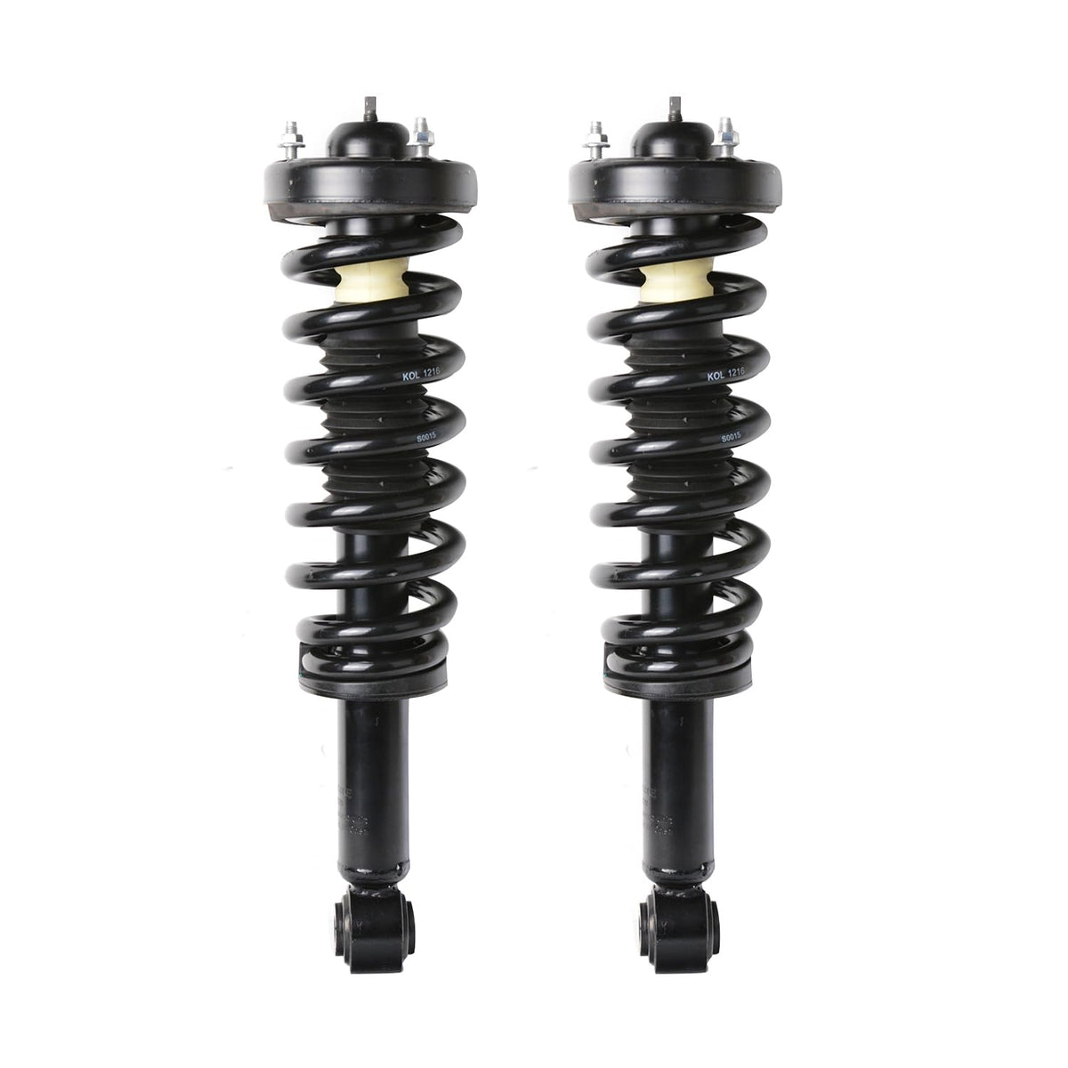 Maxfavor Front Complete Struts Assembly with Coil Springs Fit for Ford F-150 2009 2010 2011 2012 2013 Shock Absorber Assembly Replace OE 171141 Set of 2
