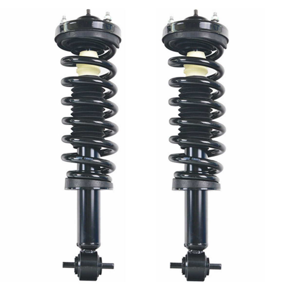 Maxfavor Front Complete Struts and Shocks Assembly Compatible with 2014 Ford F-150 RWD, Replacement for 272651L 272651R (Set of 2)