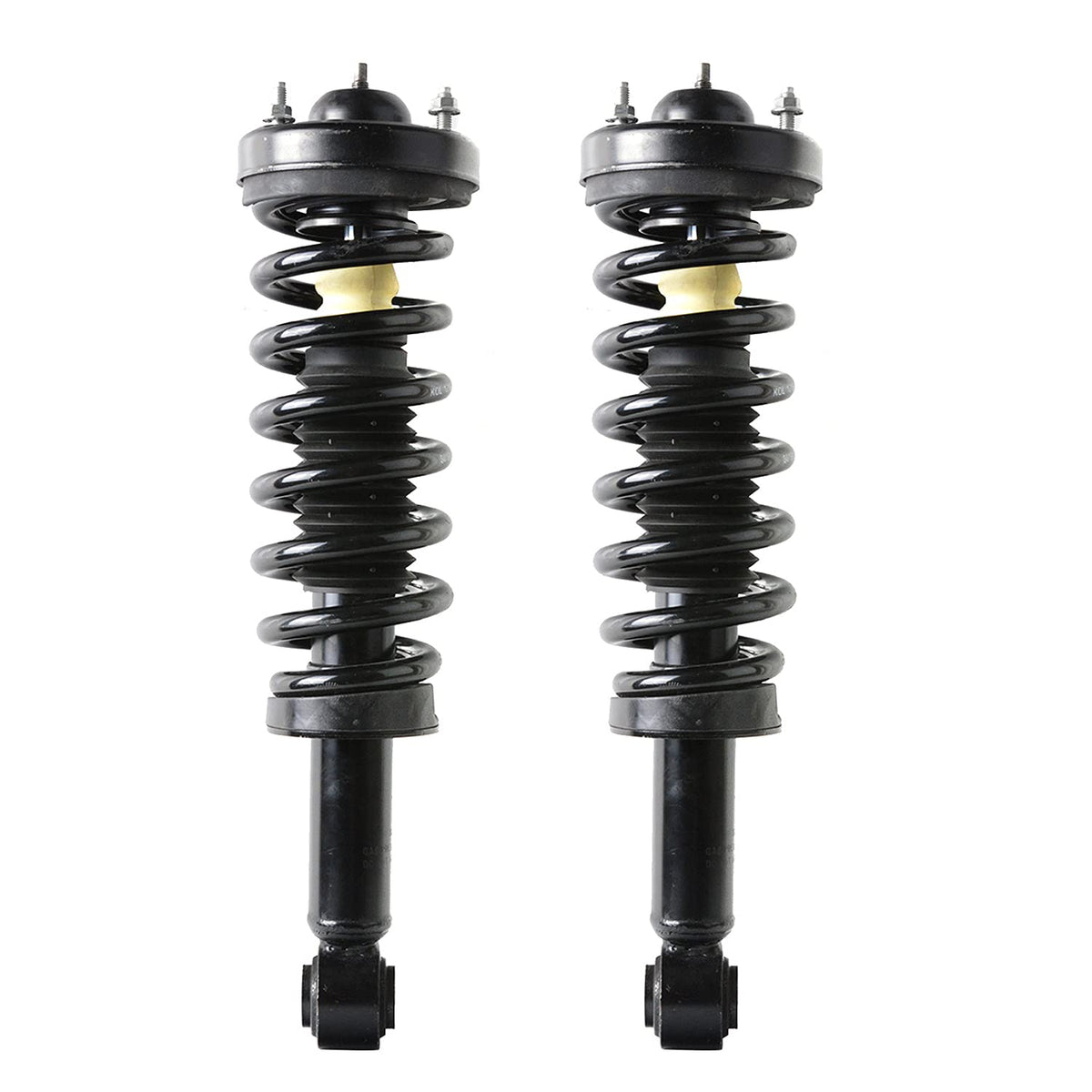 Maxfavor Front Complete Struts Assembly with Coil Springs Fit for Ford F-150 2009 2010 2011 2012 2013 Shock Absorber Assembly Replace OE 171138 Set of 2